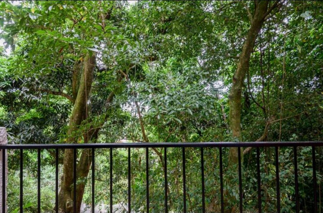 Santa Teresa Junto A Natureza Rio de Janeiro Exterior photo